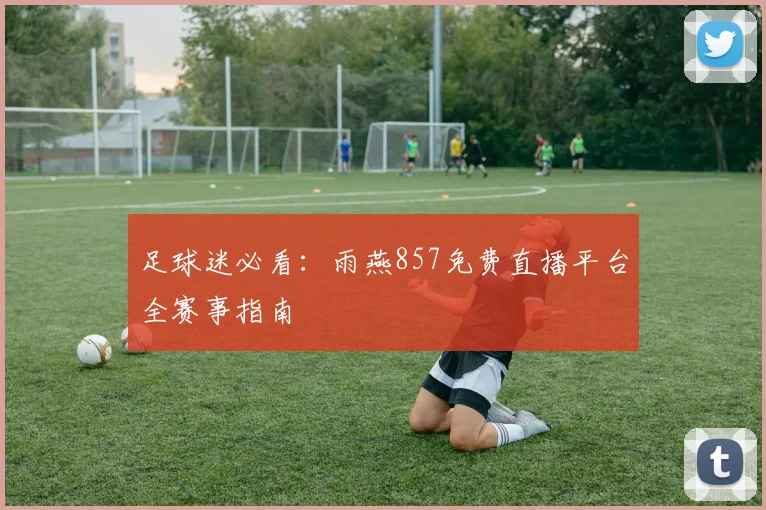 足球迷必看：雨燕857免费直播平台全赛事指南