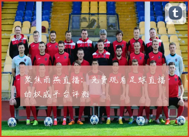聚焦雨燕直播：免费观看足球直播的权威平台评测