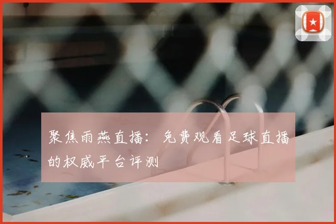 聚焦雨燕直播：免费观看足球直播的权威平台评测