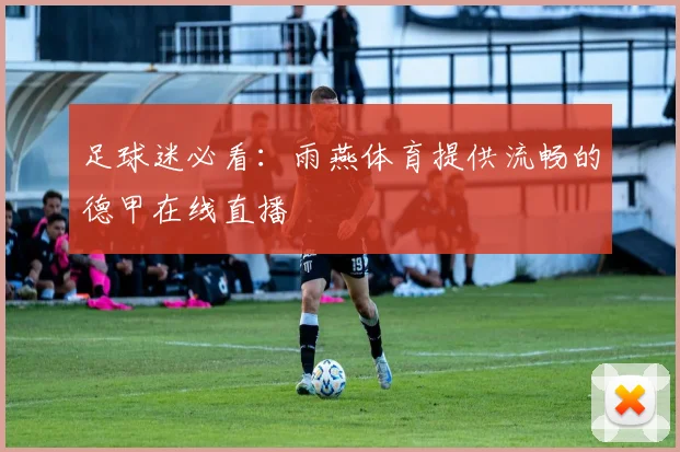 足球迷必看：雨燕体育提供流畅的德甲在线直播